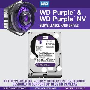 1TB Surveillance Hard Drive (WD10PURZ)