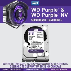 2TB Surveillance Hard Drive (WD20PURX)